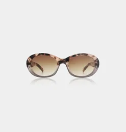 Anma Coquina/Grey Transparent