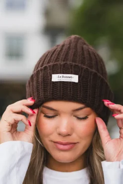 Beanie Logo Gingerbread