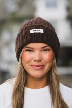 Beanie Logo Gingerbread