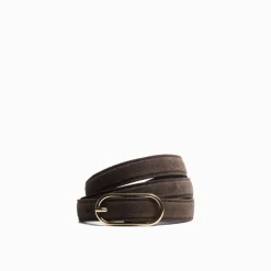 Business Belt Truffle