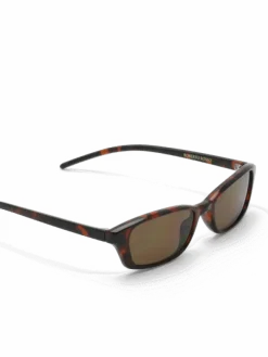 Chiara Tortoise