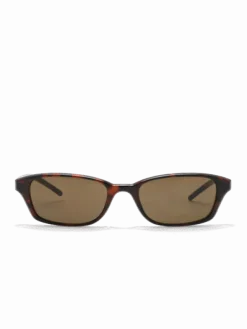 Chiara Tortoise