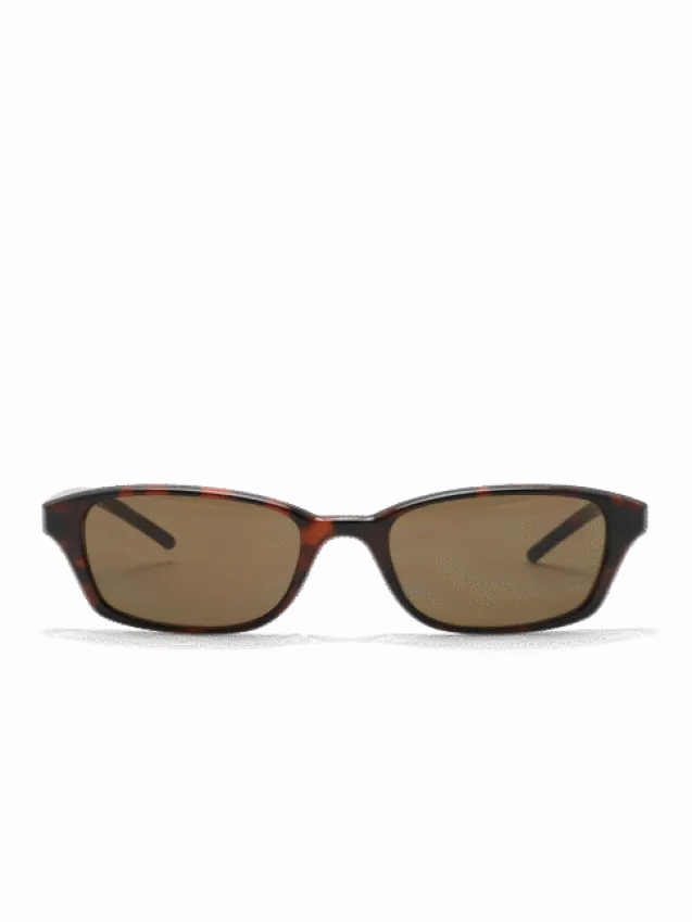 Chiara Tortoise