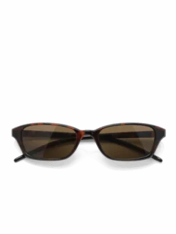 Chiara Tortoise