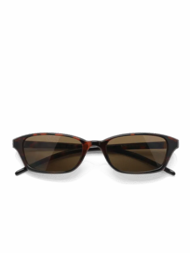 Chiara Tortoise