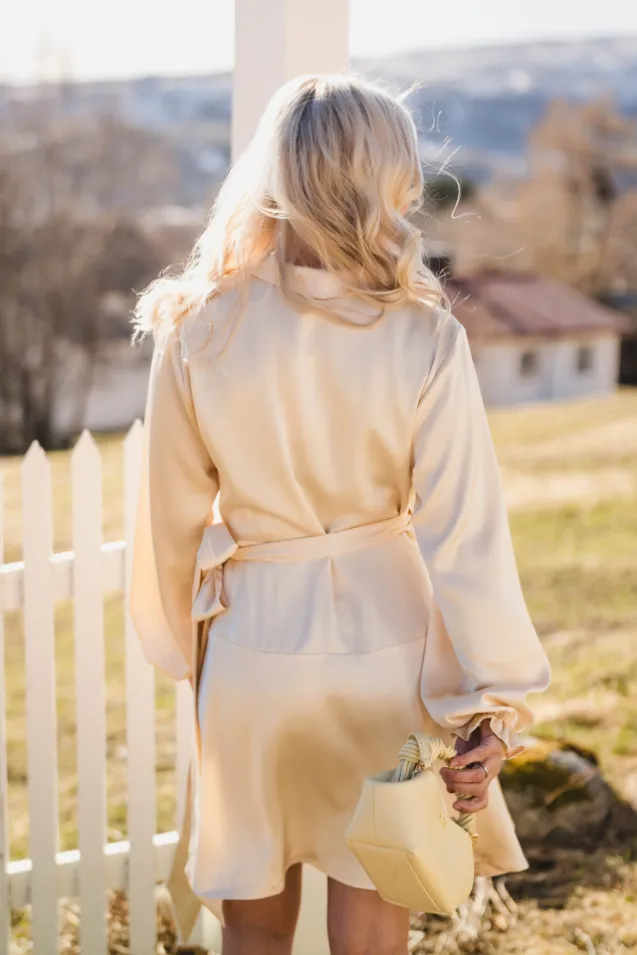 Colbie Heavy Sateen Dress Light Yellow