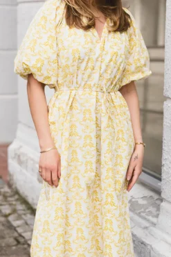 Colea 2/4 Long Dress Pristine Colea Print