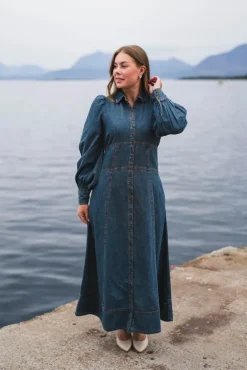 Denim Button-Down Dress French Blue