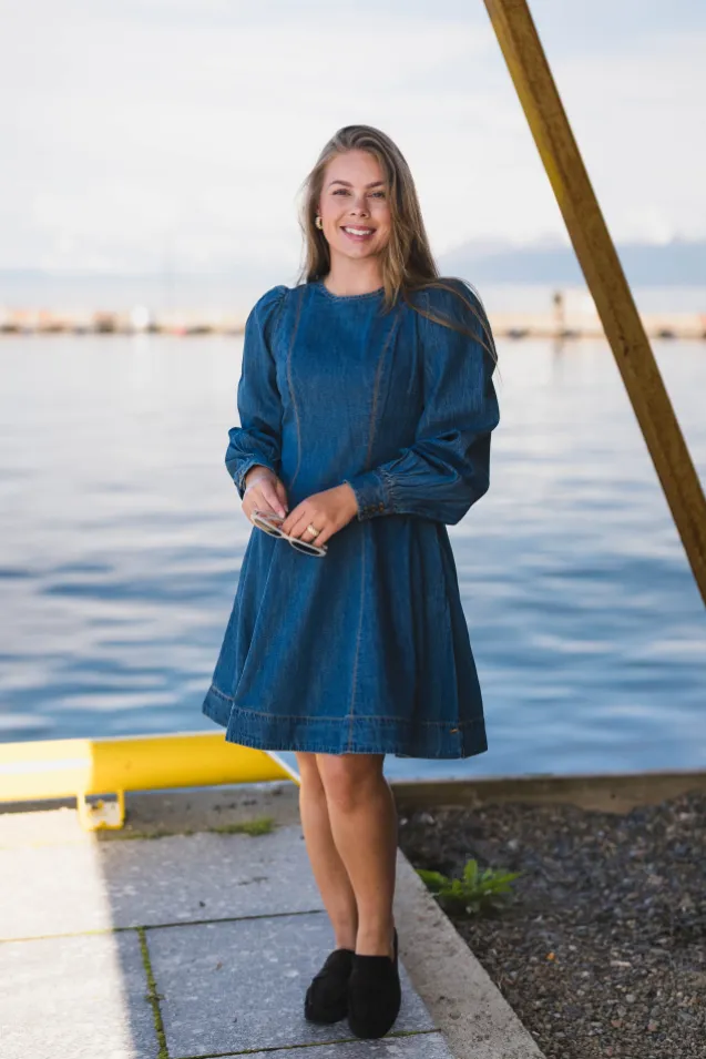 Denim Fitted Dress French Blue