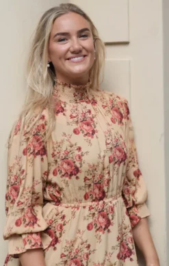 Dream Dress Roses