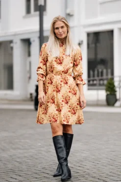 Dream Dress Roses