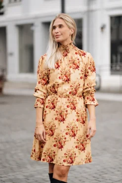 Dream Dress Roses