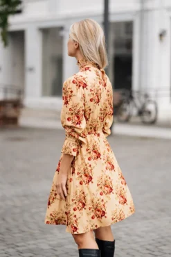 Dream Dress Roses