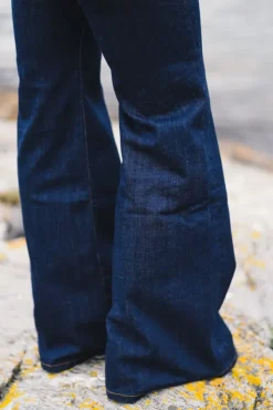 Fuji Blue Rinse