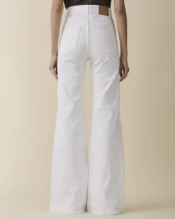 Fuji Natural White