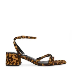 Gabby Leopard