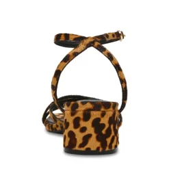 Gabby Leopard