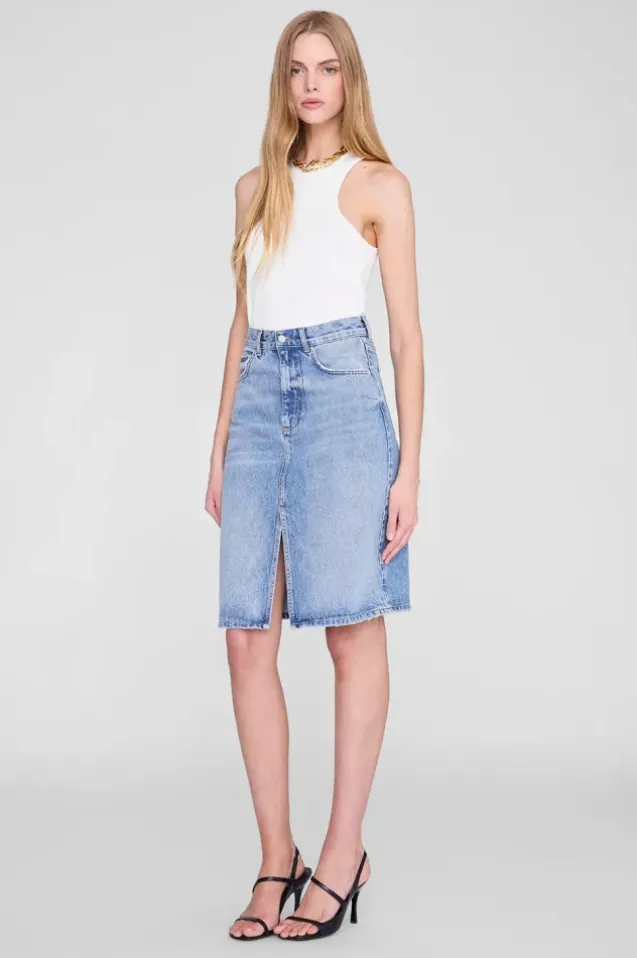 Jamey Skirt Arbor Blue