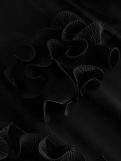 Latanietta Blouse Black
