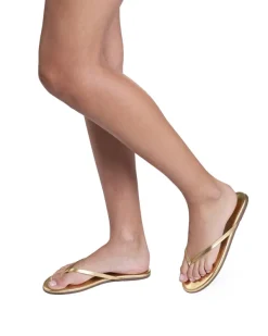 Lily Metallics Blink