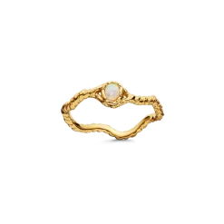 Lisa Ring