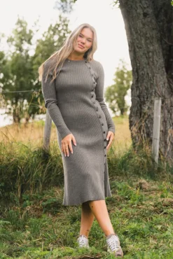 Mima Merino Dress Wood