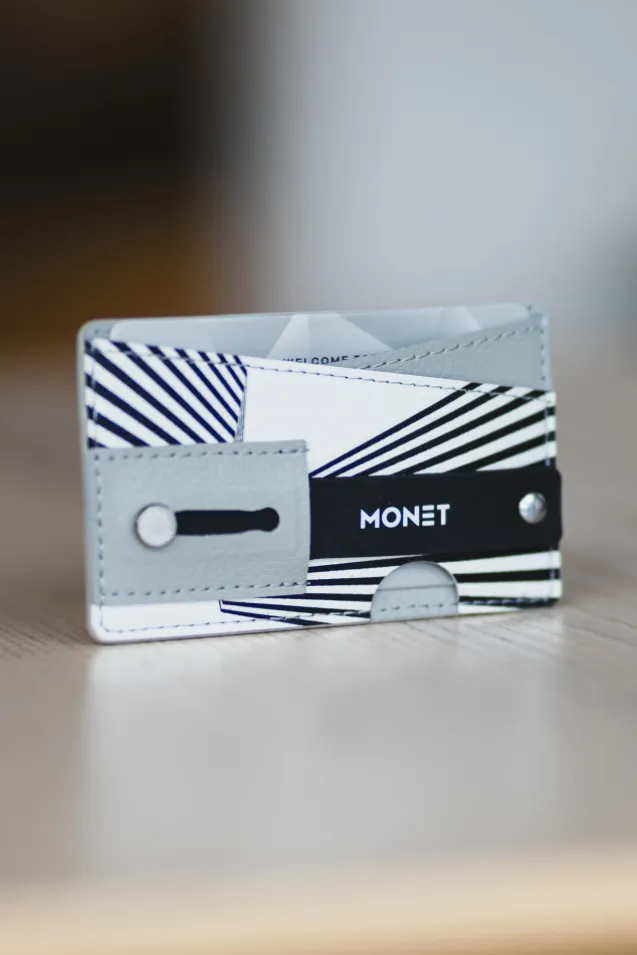Monet Stripe Burst On Grey