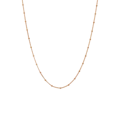 Nala Choker Necklace