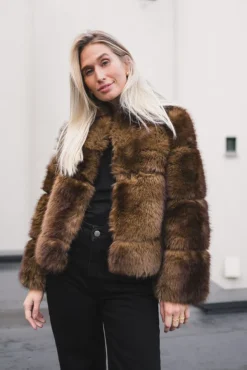 Posh Short Coat Dark Brown