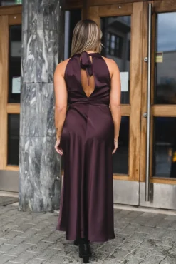 Rheo Dress 12959 Fudge