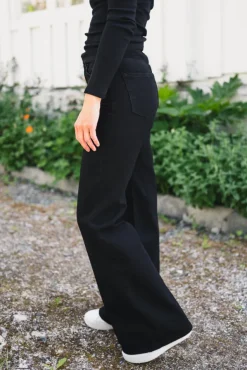 Taylor Black