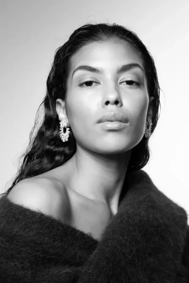 The Shimmering Earring Silver