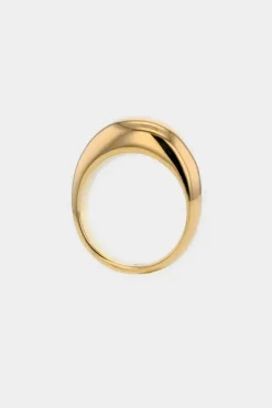 The Shiny Gold