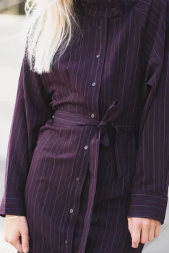 Trinny Stripe Batwing Dress Plum