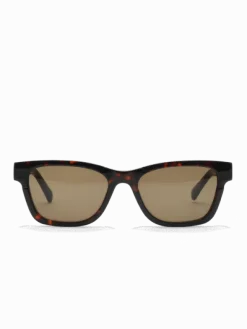 Verso Tortoise