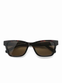 Verso Tortoise