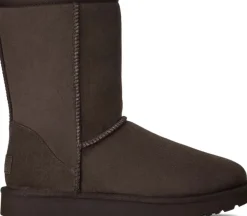W Classic Short II Dusted Cocoa
