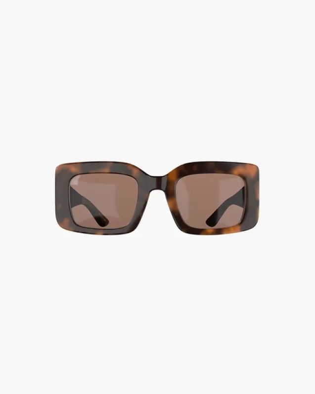 West Tortoise Brown
