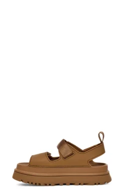 W Goldenglow Bison Brown