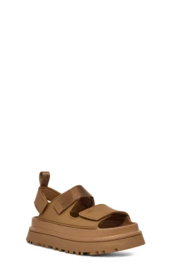 W Goldenglow Bison Brown