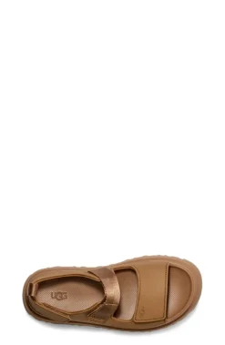 W Goldenglow Bison Brown