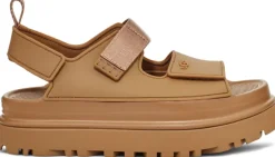 W Goldenglow Bison Brown